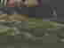 item-130284168=8