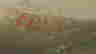item-130284175=7