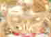 item-135643278=16