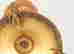 item-135643328=14