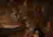 item-135643336=14