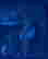 item-135643336=20