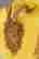 item-135643345=14