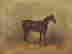 item-135643354=2