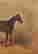item-135643354=4