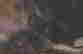item-135643375=4