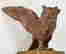 item-135643480=10