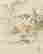 item-135643583=3