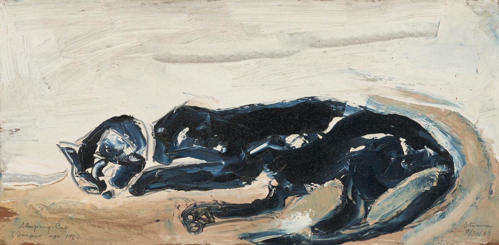 Sterling Strauser O/B Sleeping Black Cat (1 of 8)