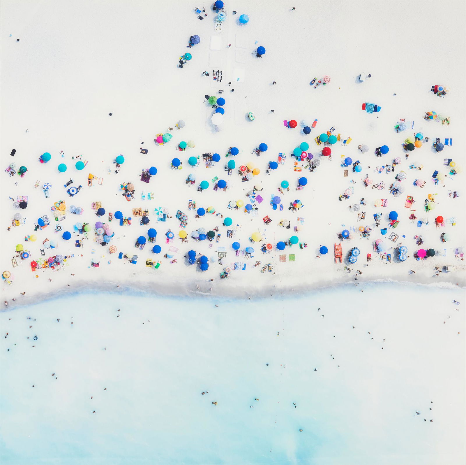 Antoine Rose Photographic Print, Spiaggi Bianche (1 of 13)