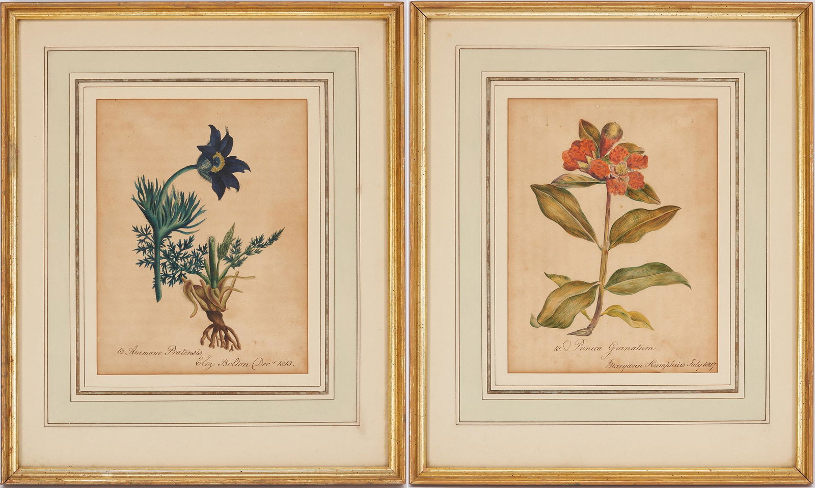 Pair Signed Watercolor Botanical Floral Paintings or Theorems c. 1800 (1 of 13)