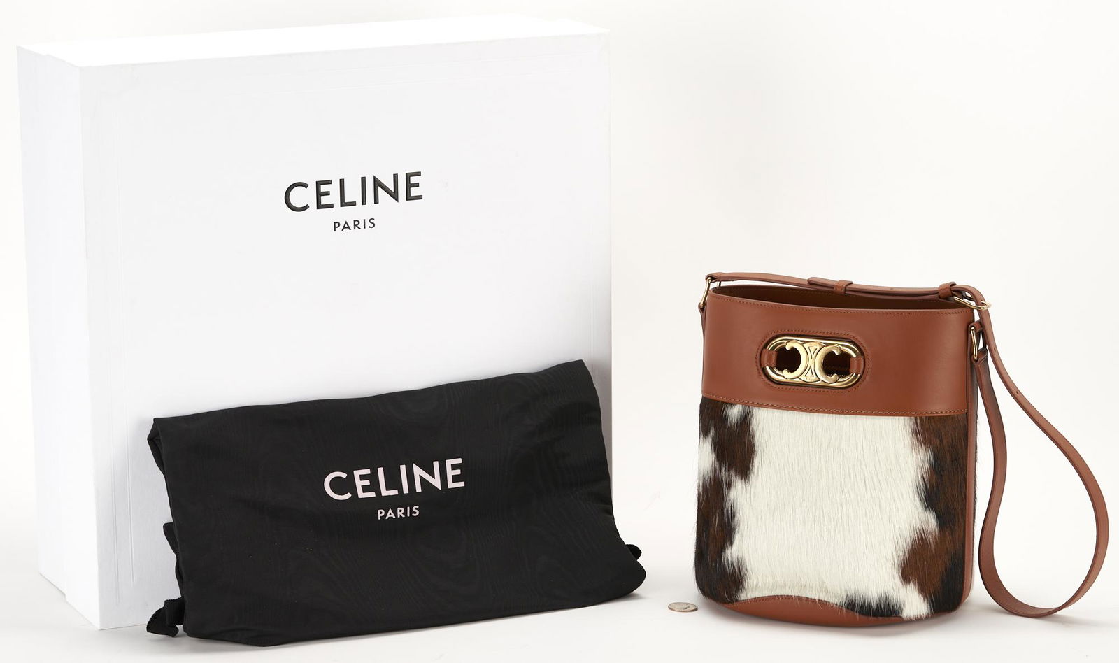 Celine Maillon Triumphe Cowskin Bucket Bag (1 of 8)