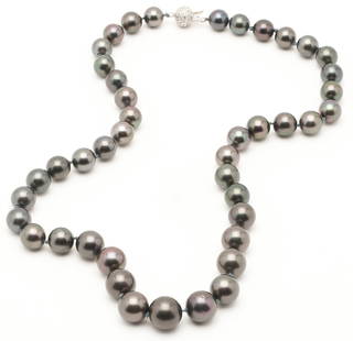Ladies' 14K & Tahitian Black Pearl Necklace: Ladies' Tahitian black pearl necklace featuring forty-three (43) graduated cultured black pearls between 9mm and 13.4mm each. The necklace has a 14K white gold clasp marked "14K" which XRF tests 14K g