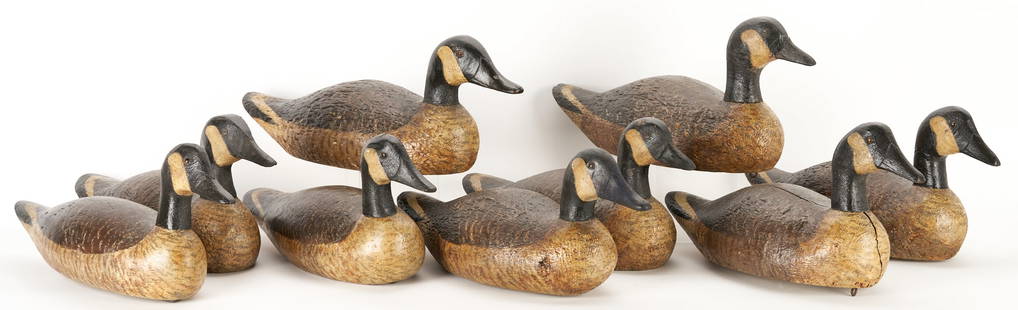 9 Carved & Painted Canadian Geese Decoys: Assembled grouping of nine (9) vintage Canadian Geese decoys with inset glass eyes, four with hollow bodies including two with old illegible tags. One signed on the base "DECOY". 9" H x 20 1/4" L. Ame