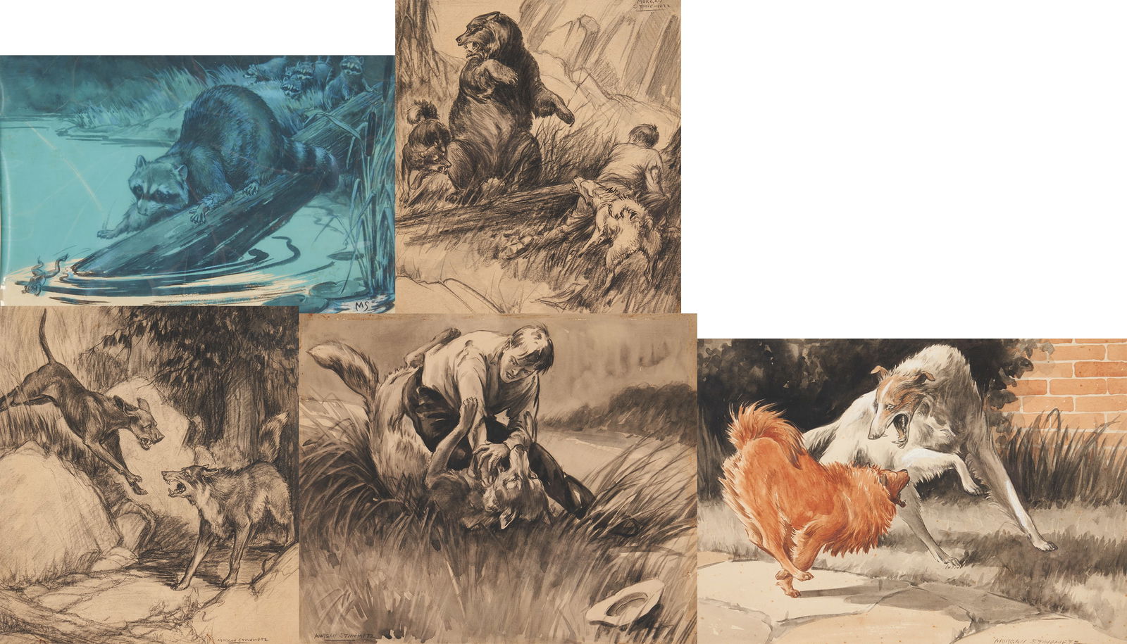 6 Morgan Steinmetz Animal and Sporting Illustration Paintings and Drawings (1 of 20)