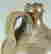 item-11773051=2