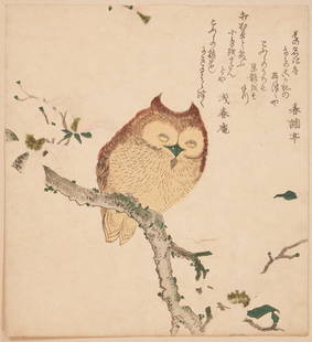 Kubo Shunman Japanese Woodblock Print, Horned Owl on Flowering Branch, c. 1800: Kubo Shunman (Japan, 1757-1820) woodblock print depicting a horned owl perched on the flowering branch of a magnolia tree, with a poem upper right, c. 1800. The magnolia blossoms are embossed and fain