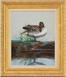 Phillip Crowe Acrylic Painting of a Duck