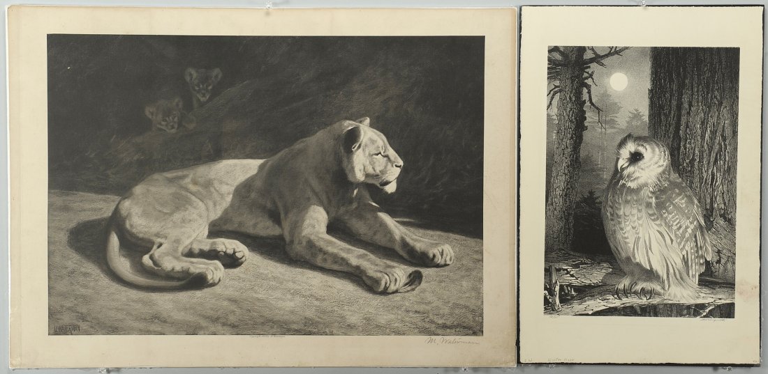 2 Wildlife Lithographs, Waterman & Wengeroth: 1st item - Lithograph by Stow Wengenroth titled "Winter Moon" depicting an owl perched on a branch under a full moon. Pencil signed lower right, pencil numbered ed/75 lower left, and titled in pencil 