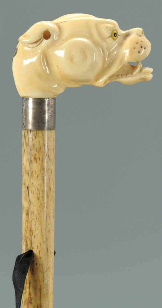 Dog head Ivory handled and bone shaft cane: Fine walking cane with a carved ivory handle depicting a boxer dog head with yellow and black glass eyes, and silver inlaid initials (C.P.) on the back of the head. Below the handle is an engraved sil