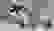 item-12818170=3