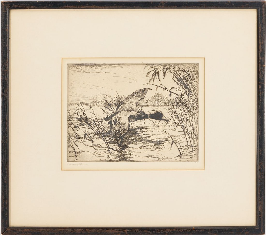 Frank Benson Etching, Duck in Flight: Frank Weston Benson (American, 1862-1951) etching, "Mallard Drake," 1917. Signed in pencil lower margin and numbered "94" (out of an edition of 150). Matted and framed under g