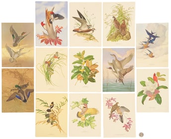 13 Athos Menaboni Ornithological Christmas Cards for Robert Woodruff