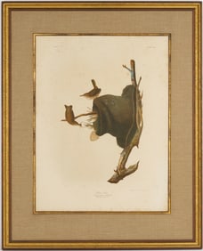 Audubon House Wren from Birds of America, Bien Edition