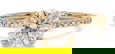 item-208190594=1