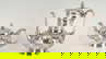 item-208190627=16