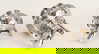 item-208190627=20
