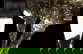 item-208190628=8