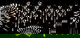 item-208190629=2