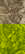 item-208190655=17