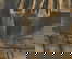 item-208190714=8