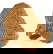 item-208190754=17