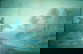 item-208190811=15