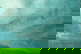 item-208190811=19