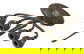 item-208190920=10