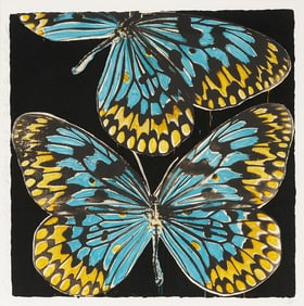 Large Donald Sultan Serigraph, Butterflies