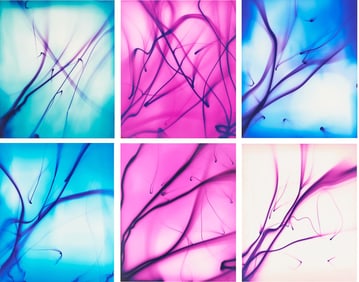 Ellen Carey, Series of 6 Photograms, Struck By Light: Pen Lights