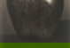 item-208190989=5