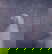 item-208190991=13