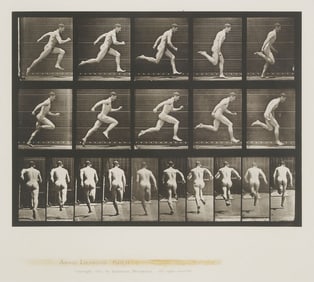 Eadweard Muybridge Animal Locomotion Collotype, Running at Full Speed