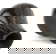 item-208191005=6