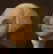 item-208191050=2
