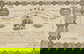 item-208191070=20