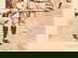 item-208191131=5