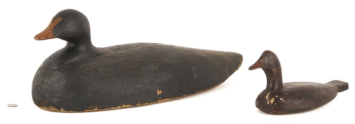 Oversized Maine Eider Hen Decoy & Nova Scotia Merganser Hen Decoy