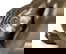 item-208191243=11